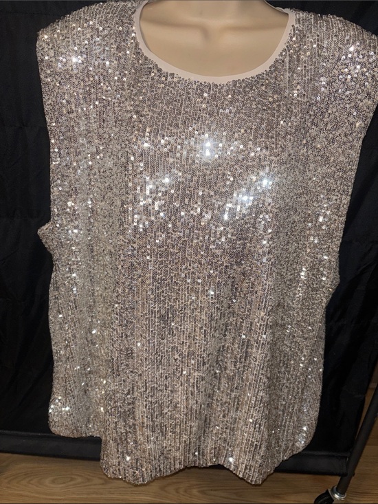 Maurices Tops - Maurices Silver Sequin Bustier Top